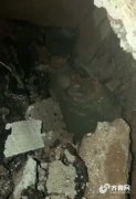 澳门太阳城官网：济南市历下区浆水泉路